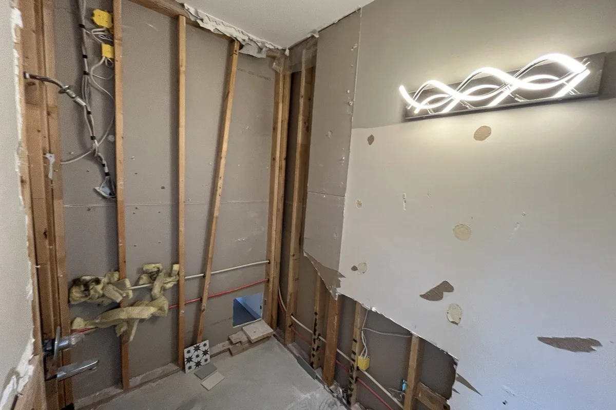 Bathroom gutted to the studs, exposing old plumbing and wall framing